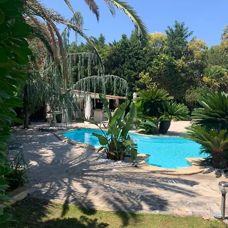 Piscine Proche Centre *